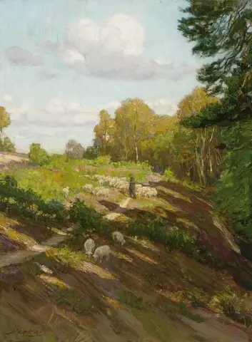 Op De Veluwe Bij Velp