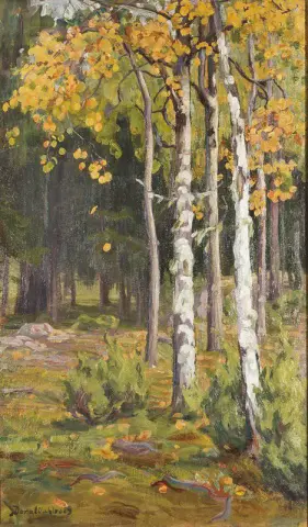 Björkskog