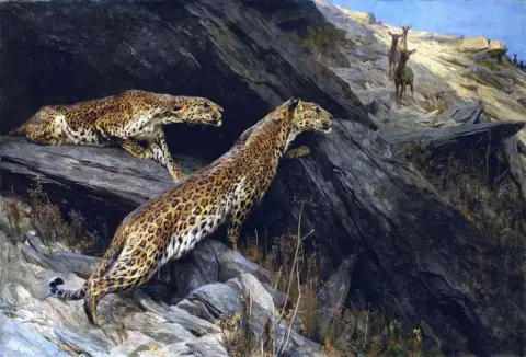 Intian leopardit