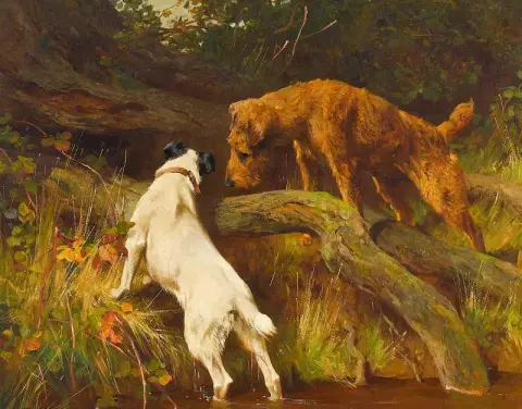 爱尔兰猎狐梗和刚毛猎狐梗正在检查洞穴 1904 年