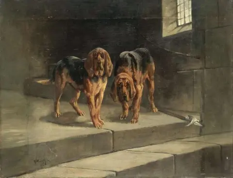 沃尔弗顿勋爵 S 猎犬 1885