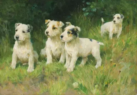 Arthur Wardle