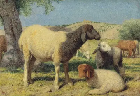 Sauer på Sions fjell 1862