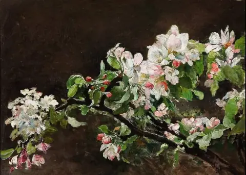 苹果花