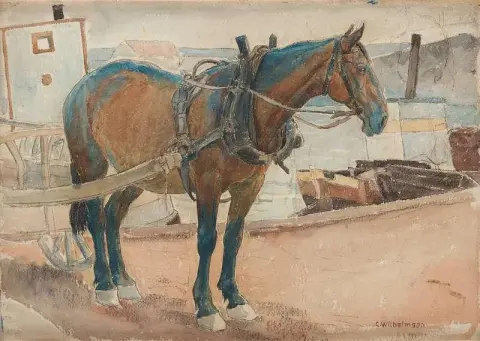 hevonen