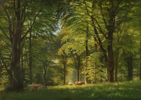 Uit Het Bos In De Buurt Van Wrangsgaarde Zuid-Zeeland