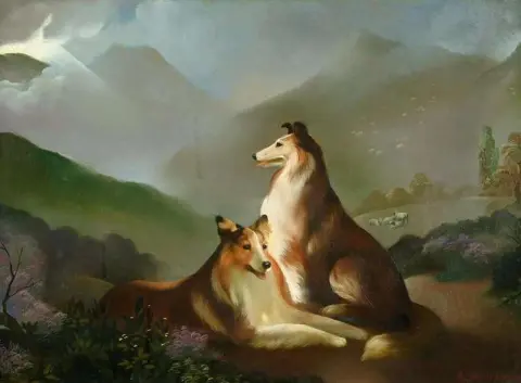 Two Collie Dogs In A Landscape