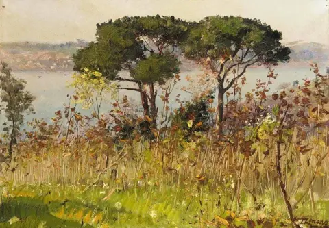 Two Pines On The Hills Above Beylerbeyi Istanbul 1891-1910