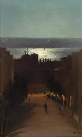 View Of Besiktas From The Artist S House At Night