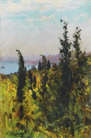 View Over The Golden Horn