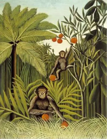 Apinoita viidakossa