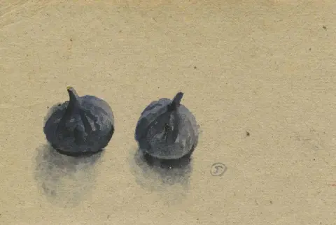 两棵无花果