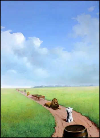 Youth Illustrated