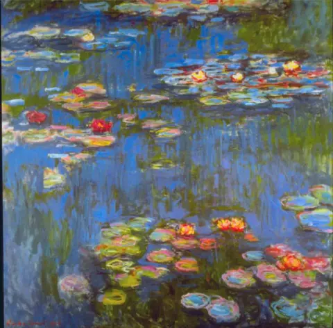 Water lilies