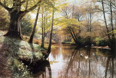 A River Landscape In Springtime