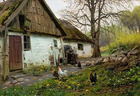 Bromolle Farm With Chickens