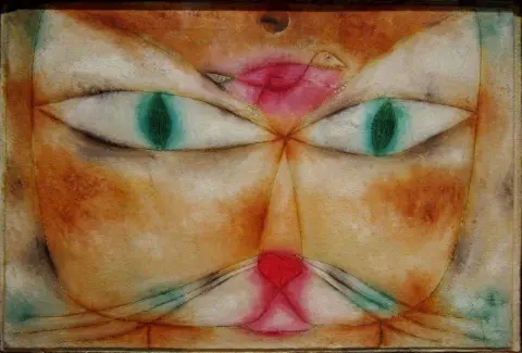 Кот и птица