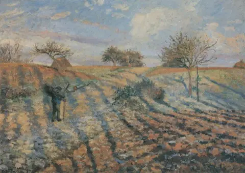 Weißer Frost