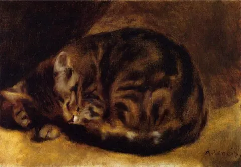 眠っている猫