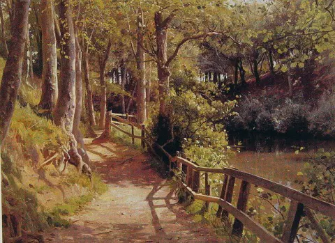 森林小路