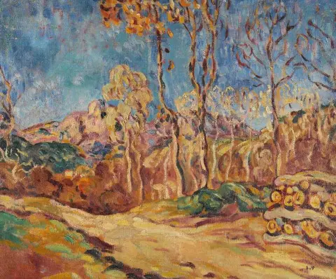 迷笛风景1902