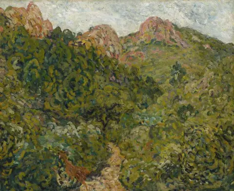 迷笛风景 1904