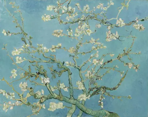 Almond Tree In Bloom - Original
