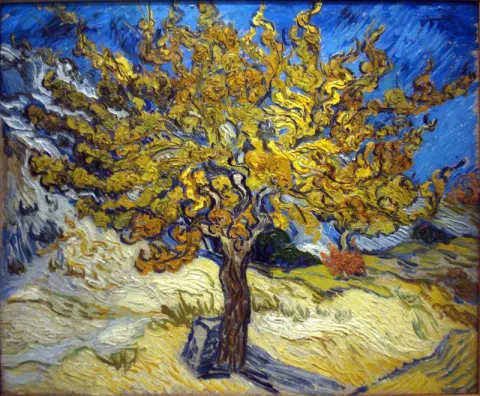 The mulberry tree in the fall